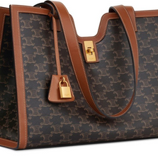 Women's Celine Triomphe Canvas And Leather Tote