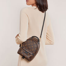 Louis Vuitton Monogram Palm Springs Backpack Mini - BEAUTY BAR