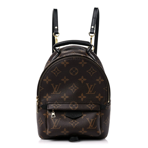 Louis Vuitton Monogram Palm Springs Backpack Mini
