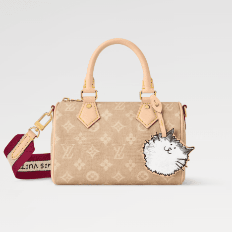Louis Vuitton Speedy Bandouliere 20